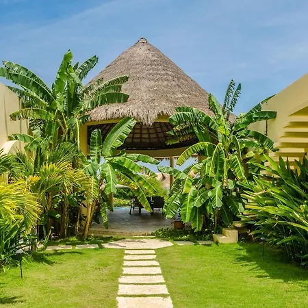 Rodeada De Naturaleza En La Isla De Baru *